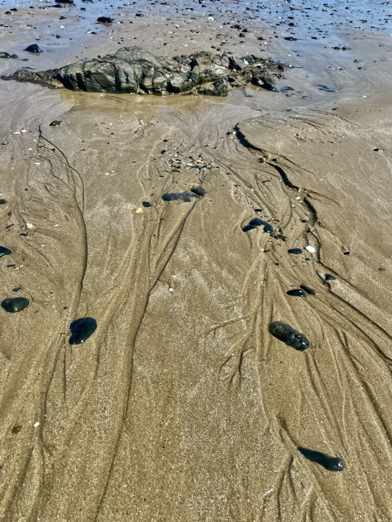 Qu'est-ce que la kinésiologie intégrale ?