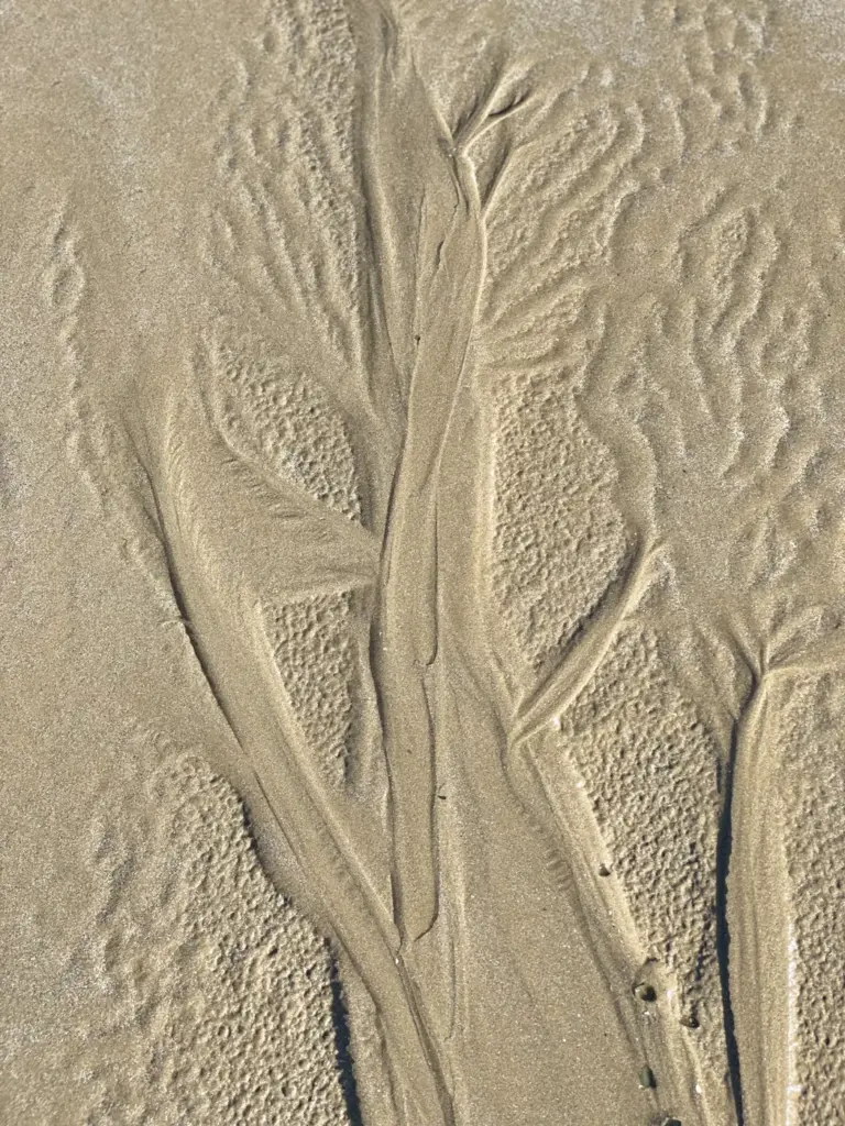Kinésiologue à Saint-Brieuc